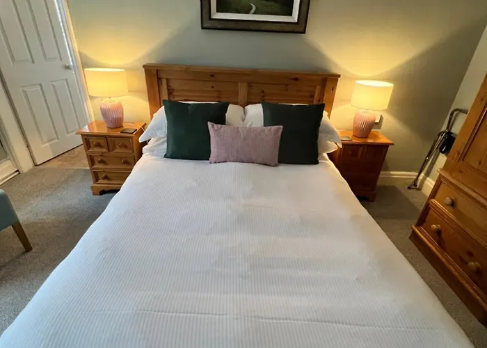 宾馆 德文郡力推酒店 2*